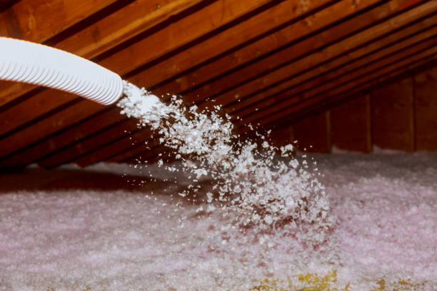 Best Energy Efficiency Insulation in South Palm Beach, FL