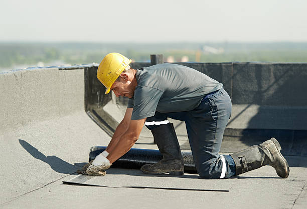 Best Specialized Insulation Services in South Palm Beach, FL